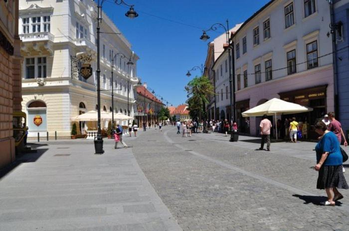 Pension Vila Andra Sibiu Eksteriør bilde