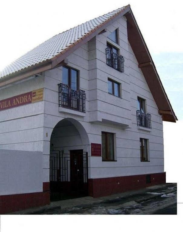 Pension Vila Andra Sibiu Eksteriør bilde